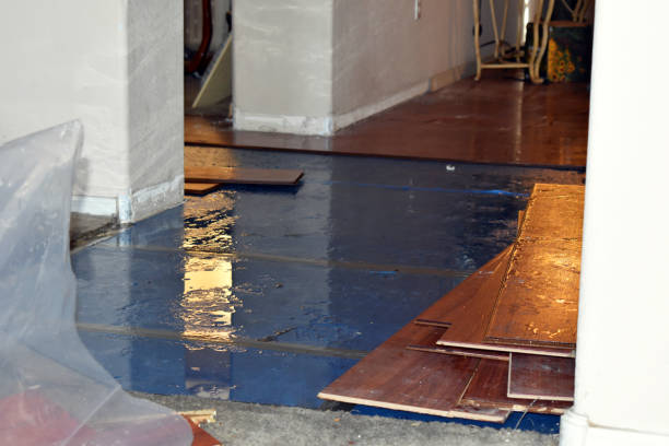 Professional Sewage Cleanup technician working in Cascade, ID